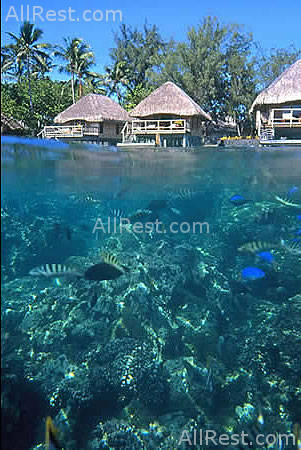 Hotel Bora Bora 31